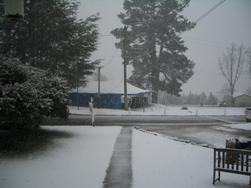 אדמינבי Rainbow Pines Tourist Caravan Park מראה חיצוני תמונה
