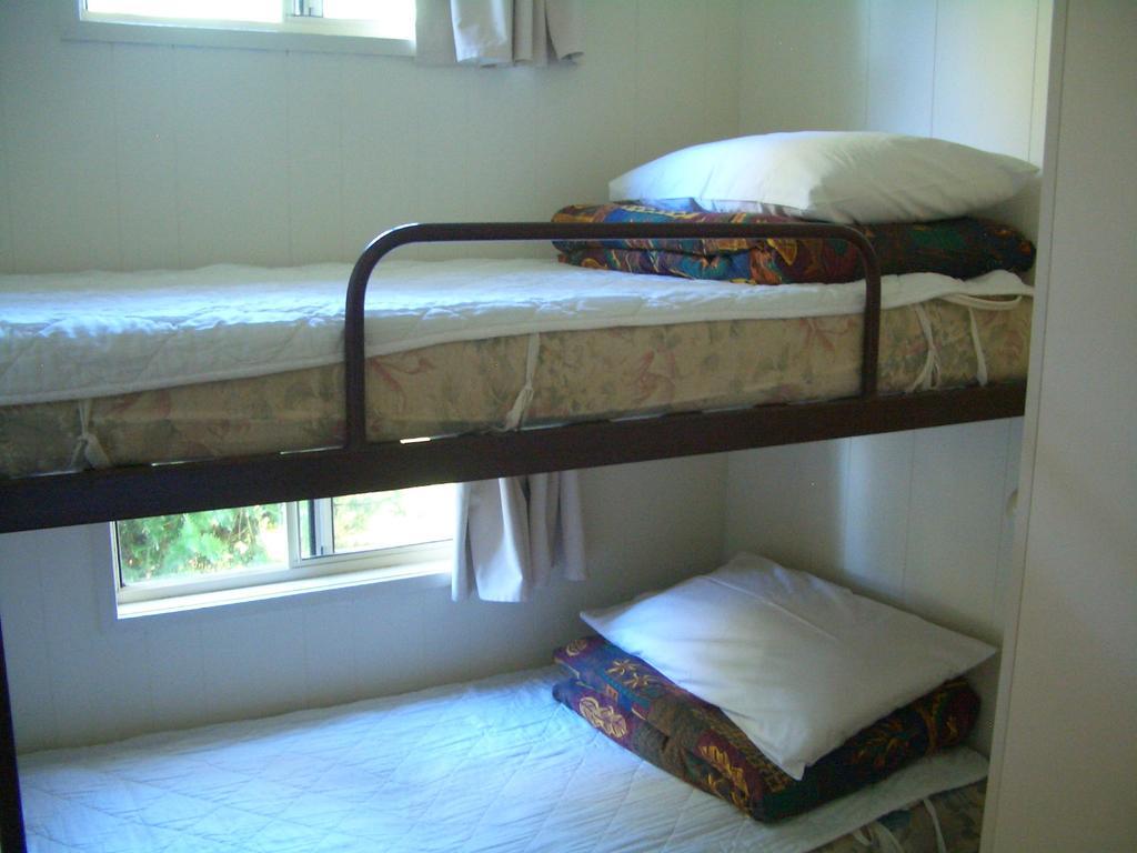 אדמינבי Rainbow Pines Tourist Caravan Park מראה חיצוני תמונה